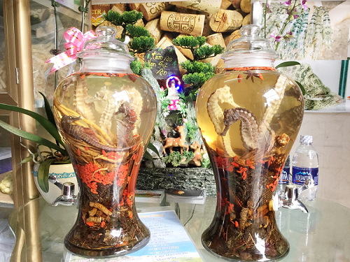 Công dụng của cá Ngựa trong y học